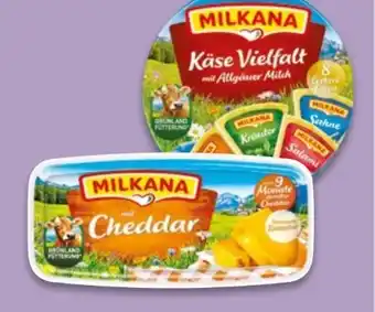 NETTO Milkana Frischeschalen Angebot