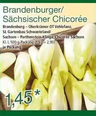 Norma Brandenburger Oder Sächsischer Chicorée Angebot