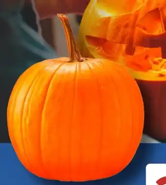 Aldi Süd Halloween-Kürbisse Angebot