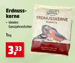 Thomas Philipps Birds garden erdnusskerne Angebot