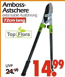 Wreesmann Top flora amboss-astschere Angebot