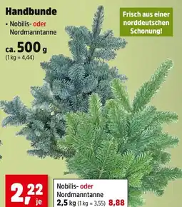 Thomas Philipps Handbunde nobilis- oder nordmanntanne Angebot