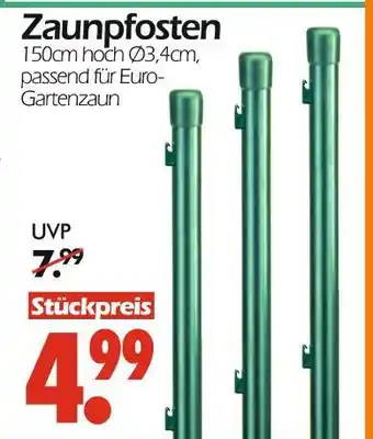 Wreesmann Zaunpfosten Angebot