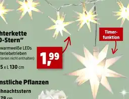 Thomas Philipps Lichterkette led-stern Angebot