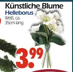 Wreesmann Künstliche blume helleborus Angebot