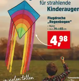 Thomas Philipps Flugdrachen regenbogen Angebot