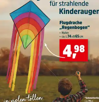 Thomas Philipps Flugdrachen regenbogen Angebot
