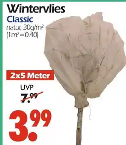 Wreesmann Wintervlies classic Angebot
