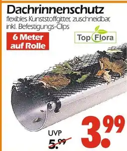 Wreesmann Top flora dachrinnenschutz Angebot