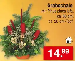 Zimmermann Grabschale Angebot