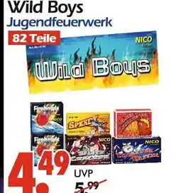 Wreesmann Nico wild boys jugendfeuerwerk Angebot
