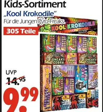 Wreesmann Kool krokodile Angebot