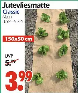Wreesmann Jutevliesmatte classic Angebot