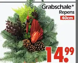 Wreesmann Grabschale repens Angebot
