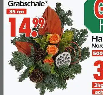 Wreesmann Grabschale Angebot