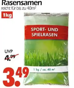 Wreesmann Rasensamen sport- und spielrasen Angebot