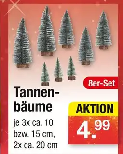 Zimmermann Tannenbäume Angebot