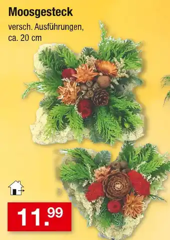 Zimmermann Moosgesteck Angebot