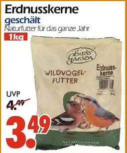 Wreesmann Birds garden erdnusskerne geschält Angebot