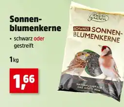 Thomas Philipps Sonnenblumenkerne schwarz Angebot