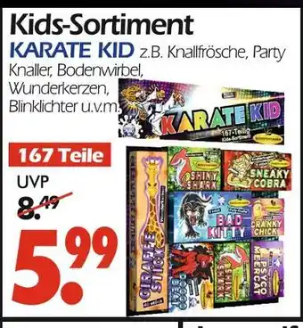 Wreesmann Karate kid Angebot