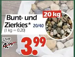 Wreesmann Bunt- und zierkies Angebot
