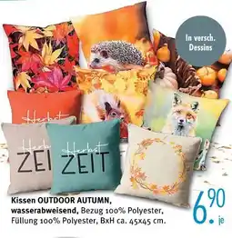 Trends Möbel Kissen outdoor autumn Angebot