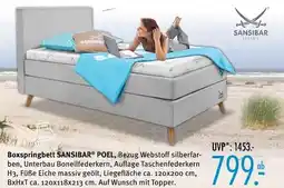 Trends Möbel Sansibar poel boxspringbett Angebot
