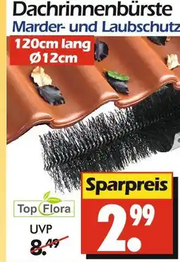 Wreesmann Top flora dachrinnenbürste Angebot