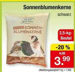 Zimmermann Birds garden schwarze sonnenblumenkerne Angebot