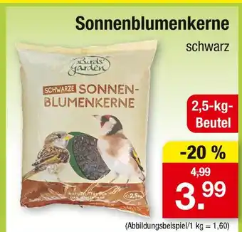 Zimmermann Birds garden schwarze sonnenblumenkerne Angebot