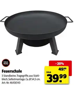 Hagebau Barbecue hero feuerschale Angebot