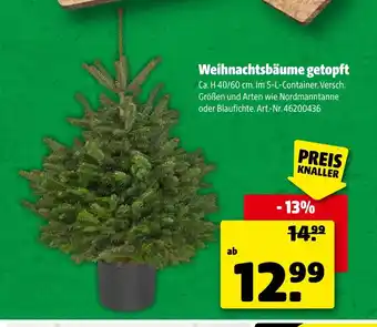 Hagebau Weihnachtsbäume getopft Angebot