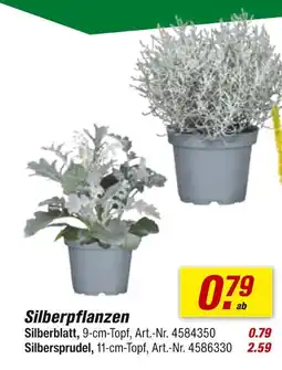 toom Baumarkt Silberblatt Angebot