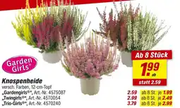 toom Baumarkt Garden girls gardengirls Angebot