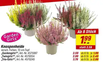 toom Baumarkt Garden girls gardengirls Angebot