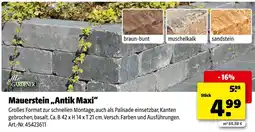 Hagebau Mr. gardener mauerstein „antik maxi“ Angebot