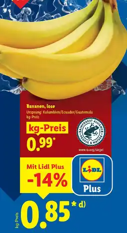 Lidl Bananen, lose Angebot