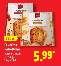 Lidl Favorina Panettone Angebot