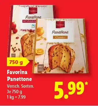 Lidl Favorina Panettone Angebot