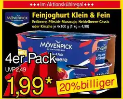 Norma Feinjoghurt Klein & Fein Angebot