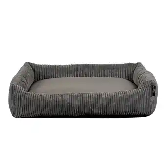 Netto Marken-Discount Rohrschneider Tierbett Coon - versch. Farben Angebot