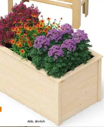 Globus Baumarkt Hochbeet natur Angebot