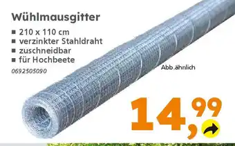 Globus Baumarkt Wühlmausgitter Angebot