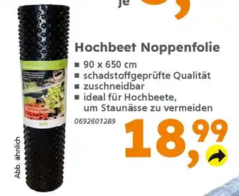 Globus Baumarkt Hochbeet Noppenfolie Angebot