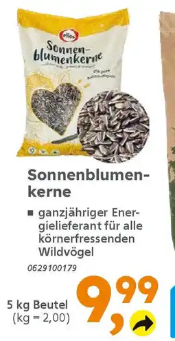 Globus Baumarkt Sonnenblumen- kerne Angebot