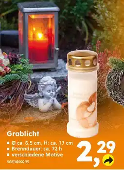 Globus Baumarkt Grablicht Angebot