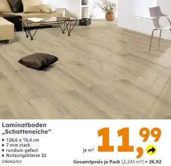 Globus Baumarkt Laminatboden ,,Schatteneiche" Angebot