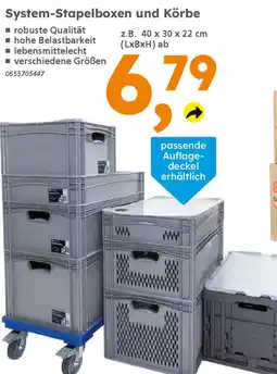 Globus Baumarkt System-Stapelboxen und Körbe Angebot