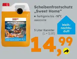 Globus Baumarkt Scheibenfrostschutz ,,Sweet Home❝ Angebot